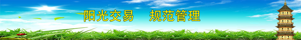 阳光交易